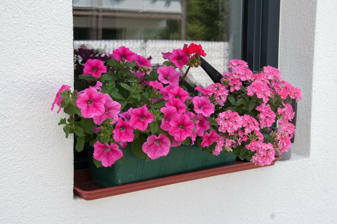 Ferienwohnung Heissl Fieberbrunn Exteriér fotografie